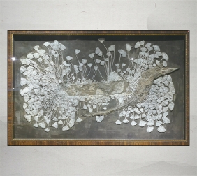 海百合新铺龙