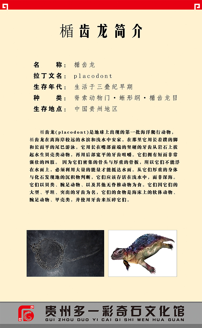 贵州奇石公司